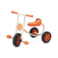 Edusante Trike groß