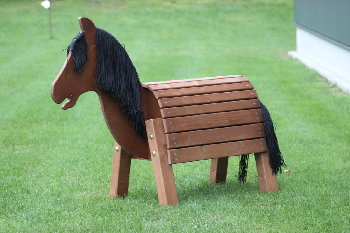 Günther, das Pony