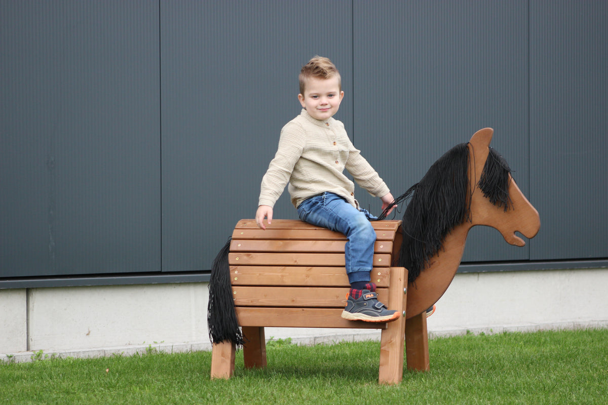 Günther, das Pony